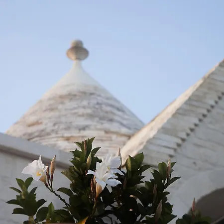 Il Calascione Apulian Locorotondo